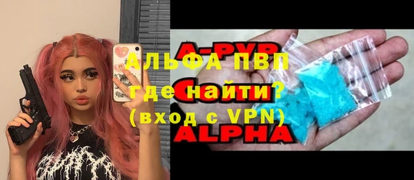 ECSTASY Магас