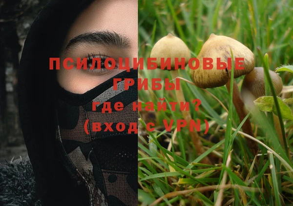 ГАЛЛЮЦИНОГЕННЫЕ ГРИБЫ Майский