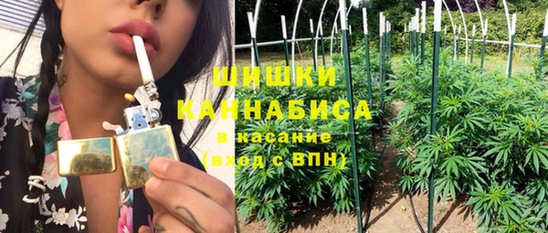 ГАЛЛЮЦИНОГЕННЫЕ ГРИБЫ Майский