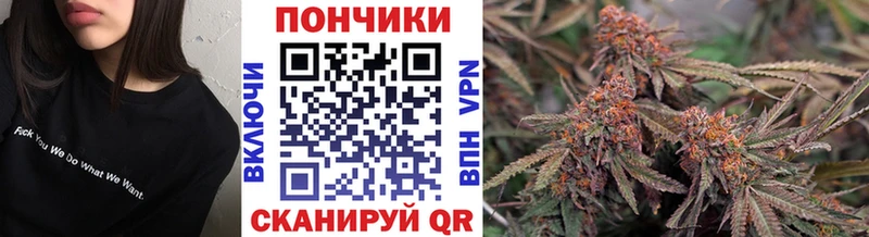 Купить где  Сасово  Бошки марихуана гибрид 